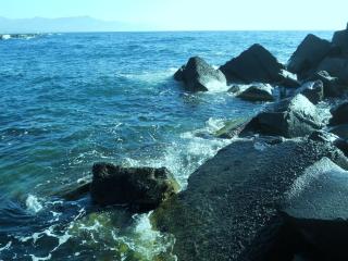 Ritorno all'isola